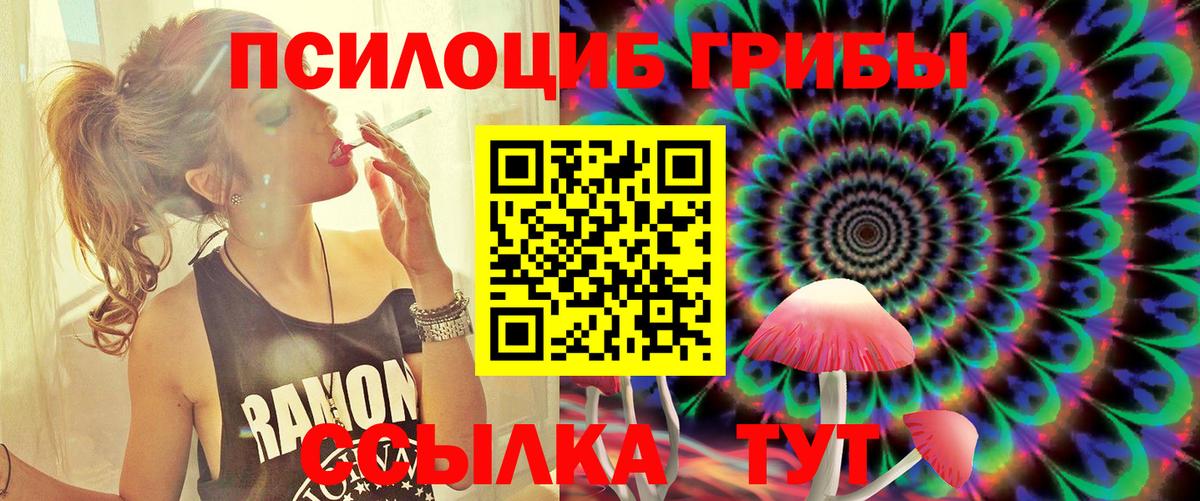 Елабуга  Галлюциногенные грибы GOLDEN TEACHER  Вход с VPN 