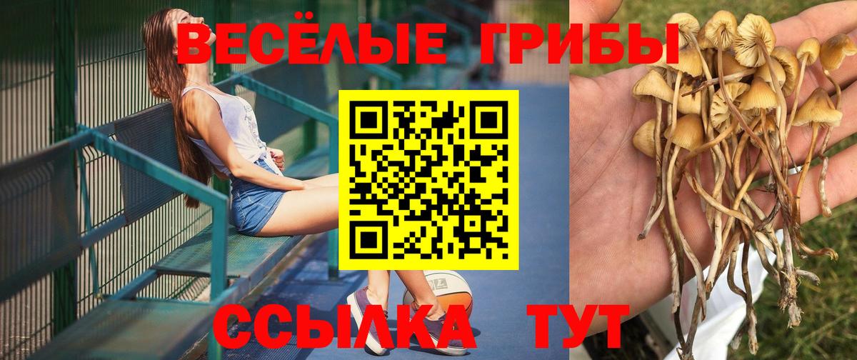 Где продают наркотики?  APVP СОЛЬ кристаллы  Гашиш  Вход с VPN  Елабуга  ГАШ  Меф кристаллы  Кокаин 