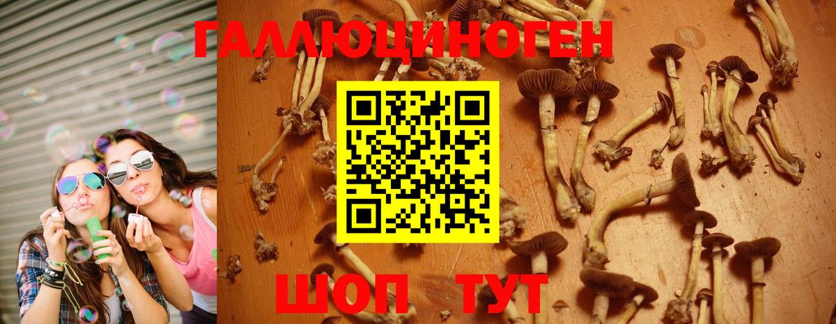 Галлюциногенные грибы GOLDEN TEACHER Елабуга